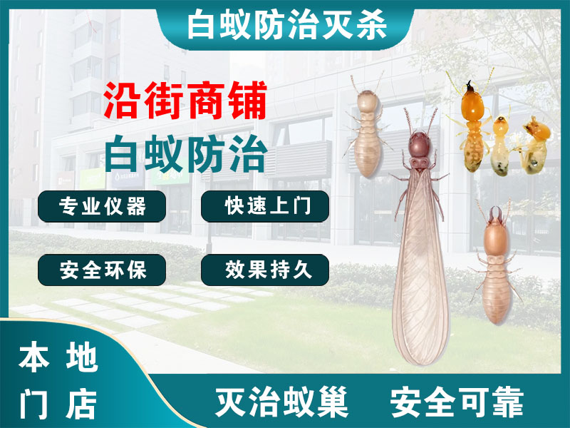 高港区沿街商铺白蚁防治