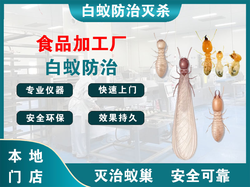 高港区食品加工厂白蚁防治