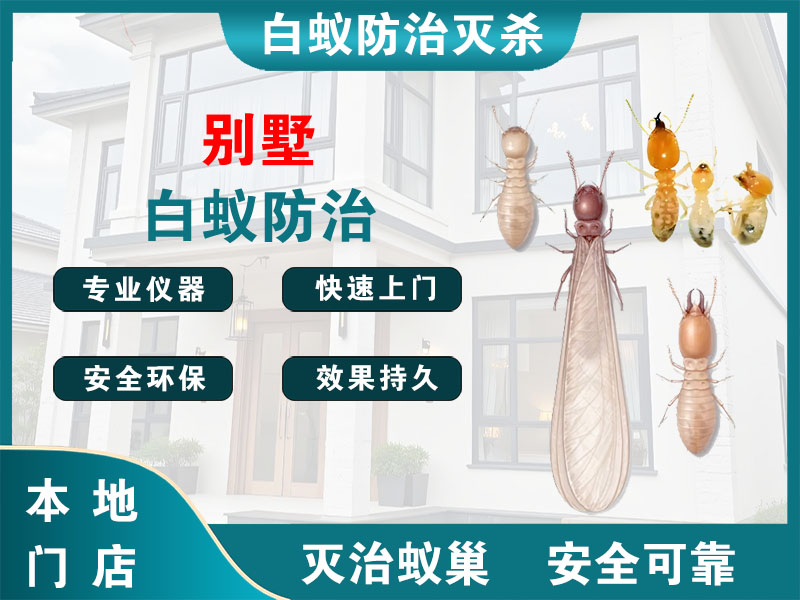 高港区别墅白蚁防治